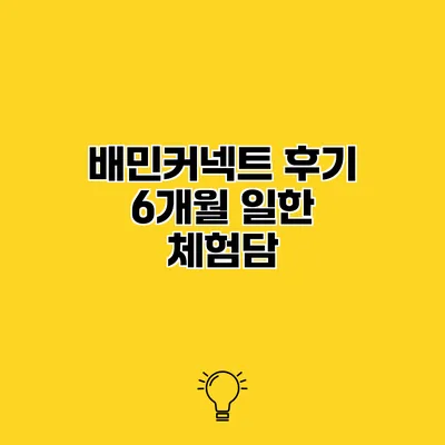 배민커넥트 후기 6개월 일한 체험담