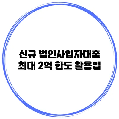 신규 법인사업자대출 최대 2억 한도 활용법