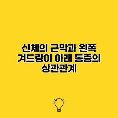 신체의 근막과 왼쪽 겨드랑이 아래 통증의 상관관계