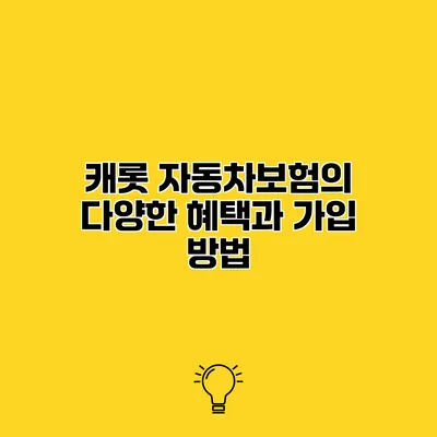 캐롯 자동차보험의 다양한 혜택과 가입 방법