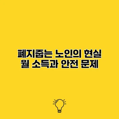 폐지줍는 노인의 현실 월 소득과 안전 문제