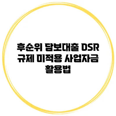 후순위 담보대출 DSR 규제 미적용 사업자금 활용법