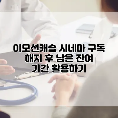 이모션캐슬 시네마 구독 해지 후 남은 잔여 기간 활용하기